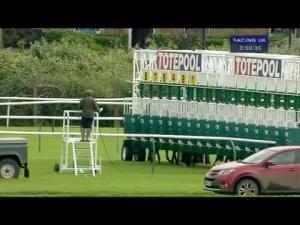 Video preview image for Nottingham 15:50 - Totepool Home Of Pool Betting Handicap