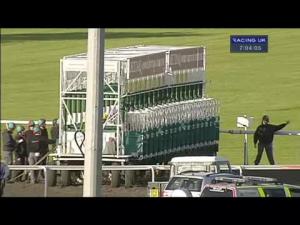 Video preview image for Kempton Park 19:00 - Goffs London Sale - Kempton-breeze/Kensington-sale 16.06.14 Median Auction Maiden Stakes