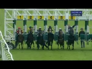 Video preview image for Hamilton Park 16:00 - Ogilvie Communications Handicap