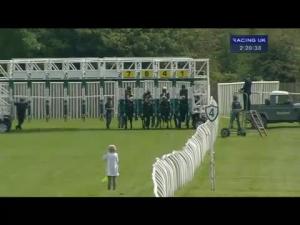 Video preview image for Catterick Bridge 14:20 - yorkshire-outdoors.co.uk Selling Stakes