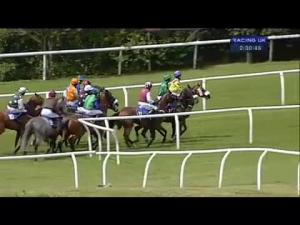Video preview image for Market Rasen 14:30 - Hartshead Club Fiddle Trip 2014 Novices' Handicap Hurdle