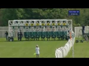Video preview image for Catterick Bridge 14:55 - Lionweld Kennedy Handicap