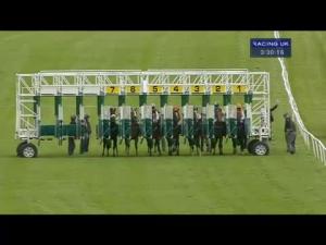 Video preview image for Catterick Bridge 15:30 - racinguk.com Maiden Stakes