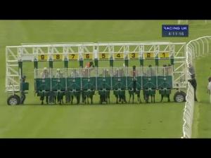 Video preview image for Catterick Bridge 16:10 - Pin Point Recruitment Handicap