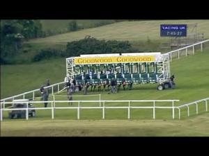 Video preview image for Goodwood 19:45 - Mazda Jinba Ittai Handicap