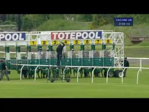 Video preview image for Musselburgh 14:55 - Bet Totequadpot Handicap