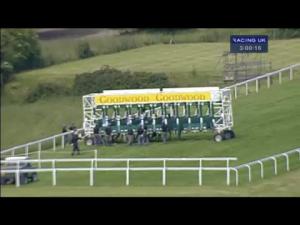 Video preview image for Goodwood 15:00 - Injured Jockeys Fund Jack Berry House Handicap