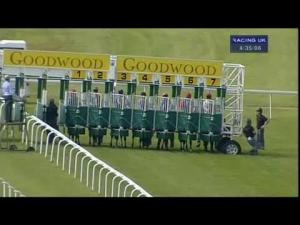 Video preview image for Goodwood 16:35 - Goodwood Selling Stakes