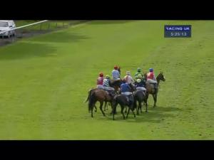 Video preview image for Perth 17:25 - Range Rover Evoque Standard Open NH Flat Race