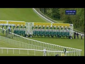 Video preview image for Goodwood 17:40 - Sunday School Handicap