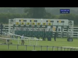 Video preview image for Beverley 16:20 - Buy Race Horses Online At racehorsetrader.com Handicap