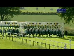 Video preview image for Beverley 16:50 - Sell Race Horses Online At racehorsetrader.com Handicap