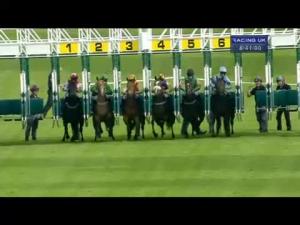 Video preview image for Hamilton Park 18:40 - Book Now For Saints & Sinners Handicap