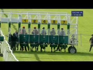 Video preview image for Hamilton Park 19:10 - Racing UK Free 1 Month Trial Handicap