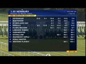 Video preview image for Newbury 13:50 - Pheasant Inn Maiden Stakes