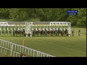 Video preview image for Newbury 16:30 - Be Wiser Insurance Handicap (Str)
