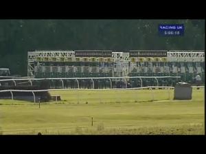 Video preview image for Newbury 17:05 - Insure Wiser Handicap