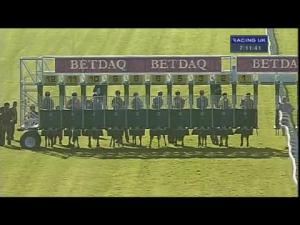 Video preview image for Haydock Park 19:10 - Silk Mill Welcomes You Maiden Stakes