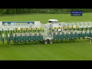 Video preview image for York 15:05 - Skf Rous Selling Stakes