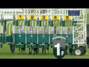 Video preview image for Musselburgh 17:05 - James Donaldson and Sons Ltd Handicap (Lady Amateurs) (Qualifier For The 15000 Betfair Scottish Stayers' Series Final)