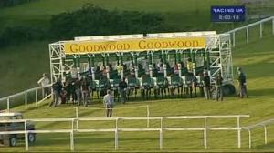 Video preview image for Goodwood 20:00 - Crimbourne Stud Handicap