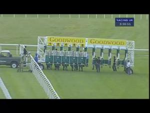 Video preview image for Goodwood 20:35 - Frankie's 27th Anniversary Maiden Stakes