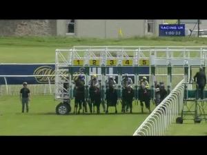 Video preview image for Musselburgh 13:00 - Madeleine Cup Maiden Auction Stakes