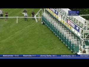 Video preview image for Sandown Park 14:55 - Betfred 'Hat Trick Heaven' Scurry Stakes (Listed)