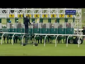 Video preview image for Musselburgh 16:10 - Gaynor Winyard Apprentice Handicap