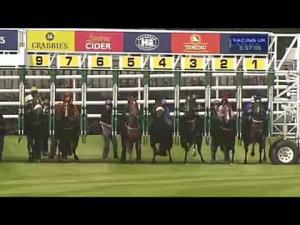 Video preview image for Chester 17:55 - Lamb's Navy Rum Fillies' Handicap