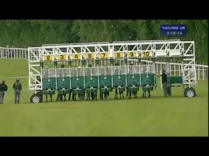 Video preview image for Salisbury 14:15 - Westover Group Handicap