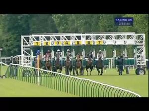 Video preview image for Salisbury 15:55 - EBF Stallions Cathedral Stakes (Listed)