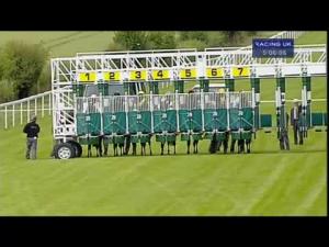 Video preview image for Salisbury 17:05 - Sarum Asbestos Ltd Fillies' Handicap