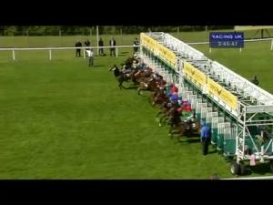 Video preview image for Ascot 15:45 - King's Stand Stakes (British Champions Series & Global Sprint Challenge) (Group 1)