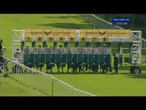 Video preview image for Ascot 15:45 - Prince Of Wales's Stakes (British Champions Series) (Group 1)