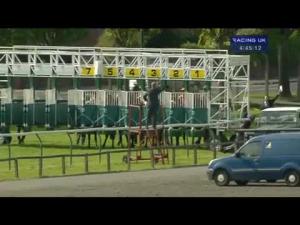 Video preview image for Redcar 16:45 - Redcar Racecourse Showground & Outdoor Events Classified Claiming Stakes