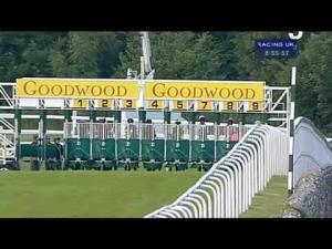 Video preview image for Goodwood 20:55 - Goodwood Farm Shop Handicap