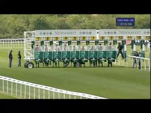 Video preview image for Newmarket 14:15 - House Collection EBF Stallions Maiden Stakes