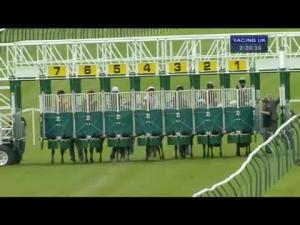Video preview image for Ayr 14:20 - Scottish Sun On Sunday Handicap