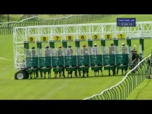 Video preview image for Ayr 14:55 - Slaters Handicap