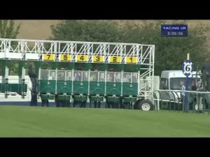 Video preview image for Ayr 17:25 - Leith Handicap
