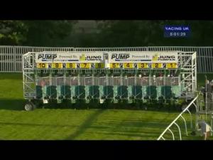 Video preview image for Newbury 20:00 - Jung Pumpen & Pump Technology Handicap (Rnd)