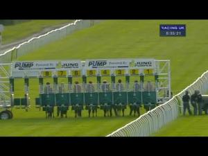Video preview image for Newbury 20:35 - Pegasus Pumps Ltd Fillies' Handicap