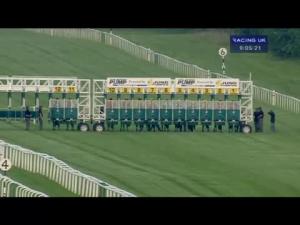 Video preview image for Newbury 21:05 - Lee San Marine Sanitation Handicap