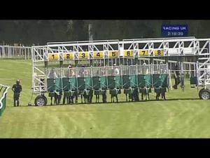 Video preview image for Salisbury 14:10 - Ashbrittle Stud British Stallion Studs EBF Maiden Fillies' Stakes