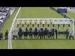 Video preview image for Salisbury 16:20 - Ashbrittle Stud Bibury Cup (Handicap)