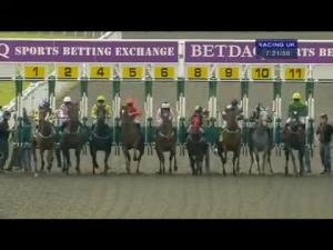 Video preview image for Kempton Park 19:20 - Dizzee Rascal Live At Kempton 06.09.14 Handicap