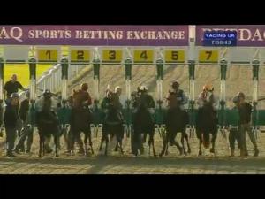 Video preview image for Kempton Park 19:50 - Irish Stallion Farms EBF Novice Stakes