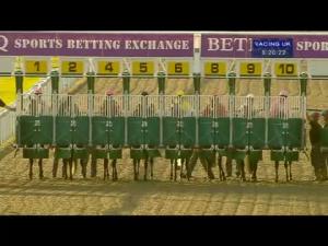 Video preview image for Kempton Park 20:20 - Cash Out On The Betdaq + App Fillies' Handicap