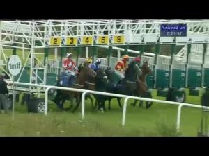Video preview image for Hamilton Park 19:20 - Irn Bru Open Maiden Stakes